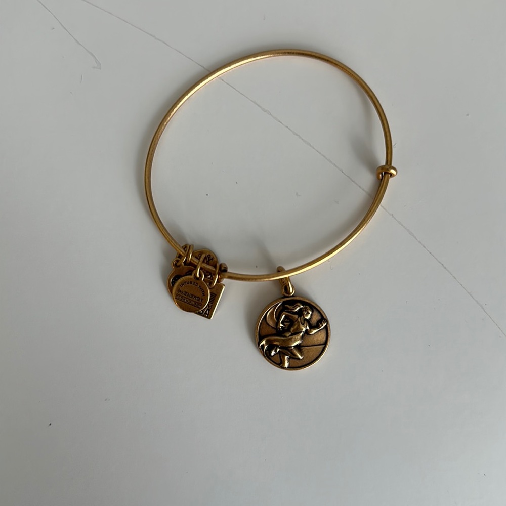ALEX AND ANI RUNNER